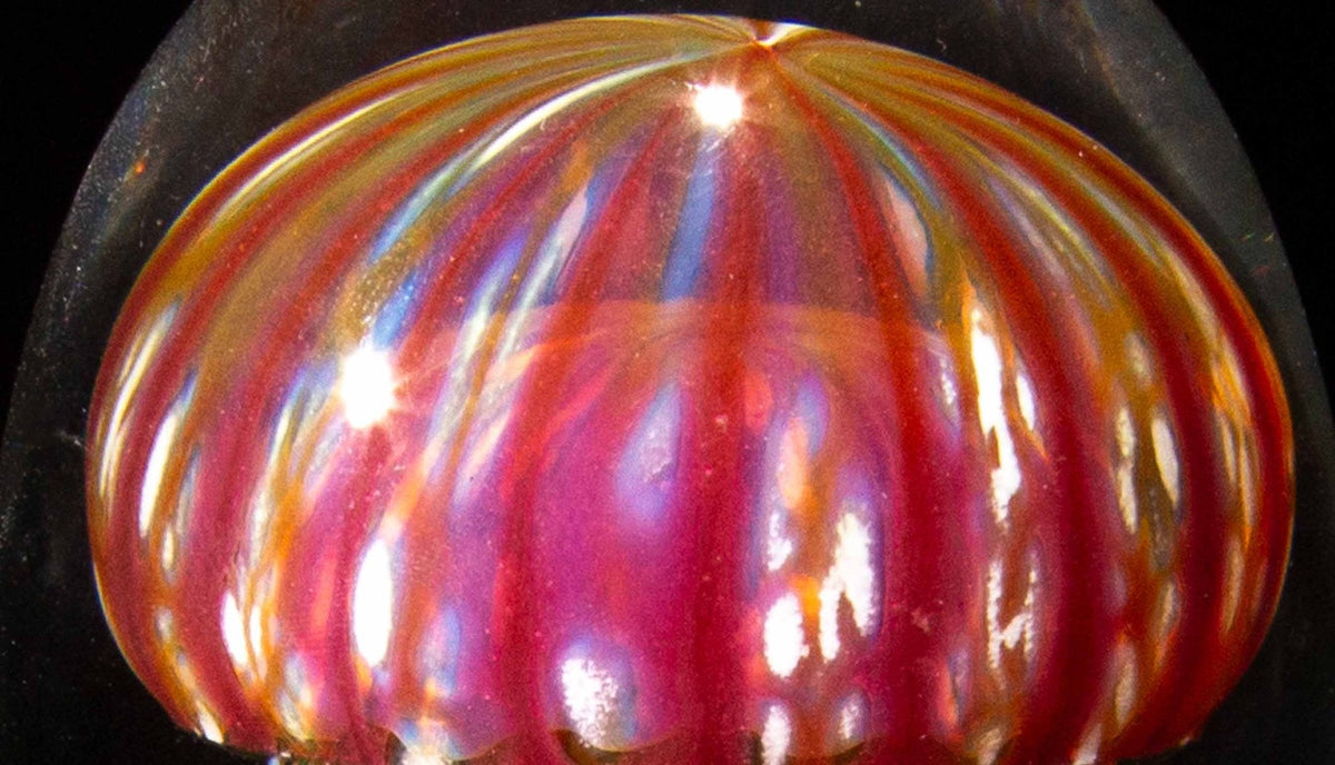 Jellyfish Sculpture, Golden Barberry Glass