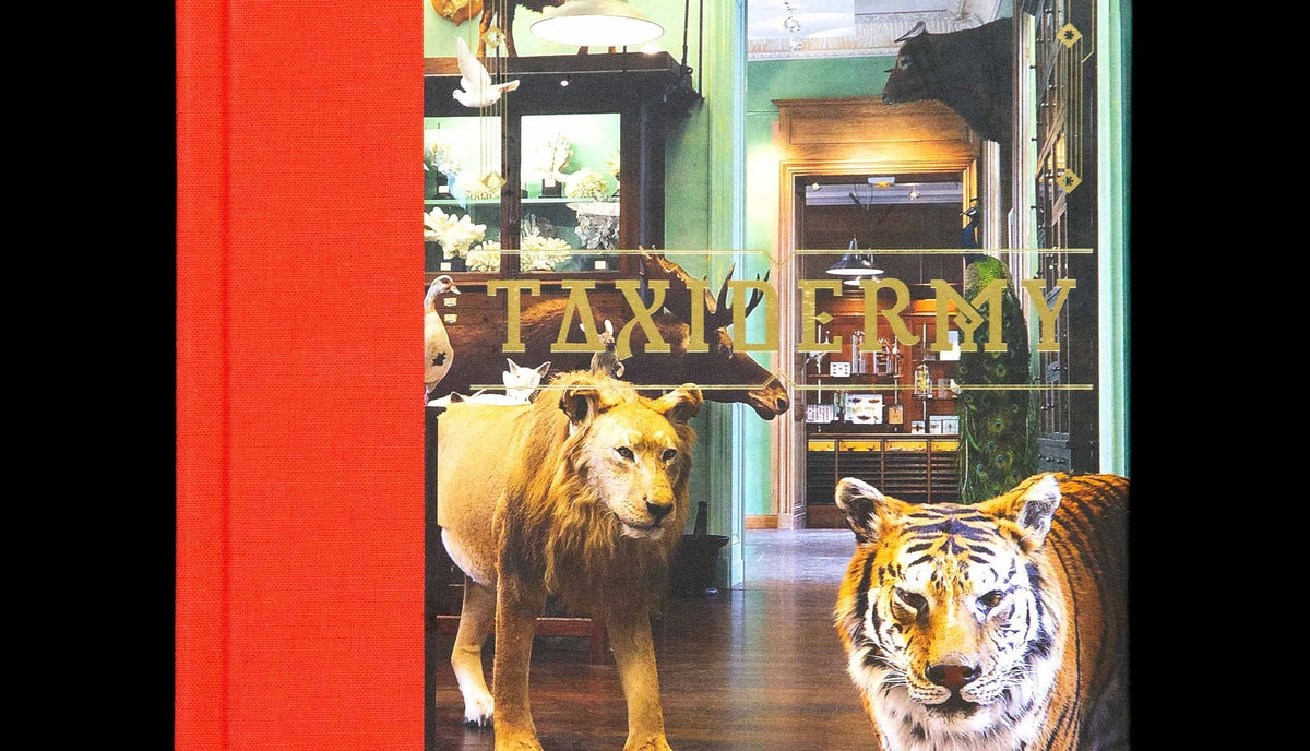 Alexis Turner: Taxidermy (Hardcover)