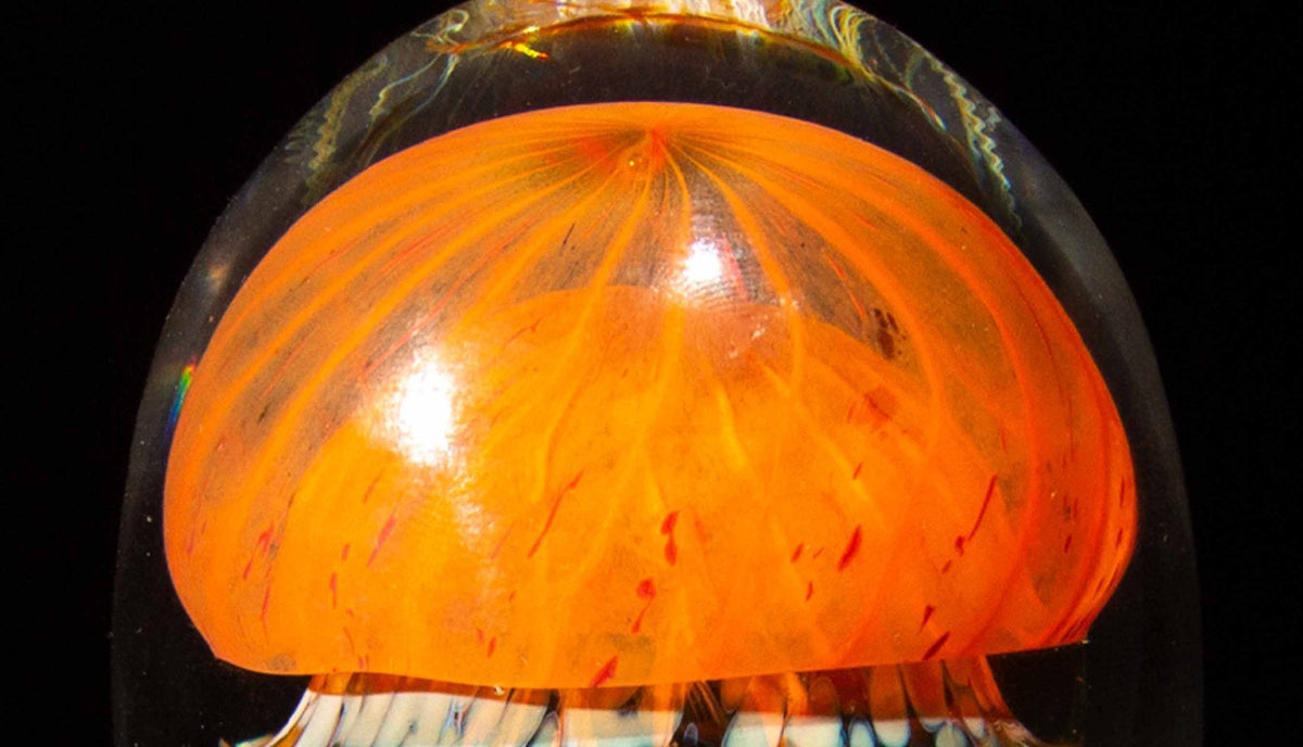 Jellyfish Sculpture, Sunrise Glass