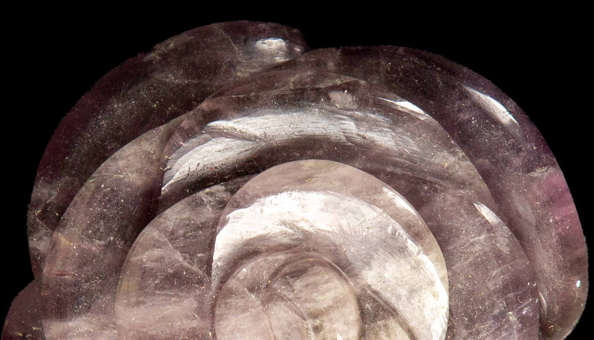 Amethyst Camellia