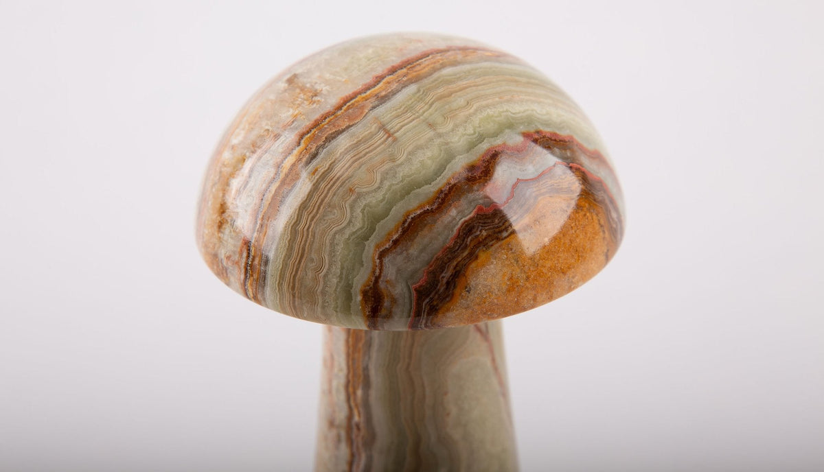 Onyx Mushrooms