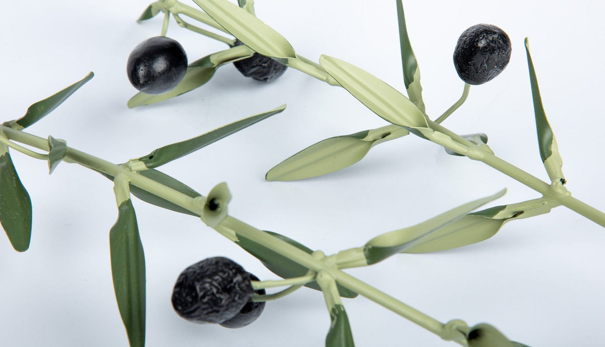 Olive Branch