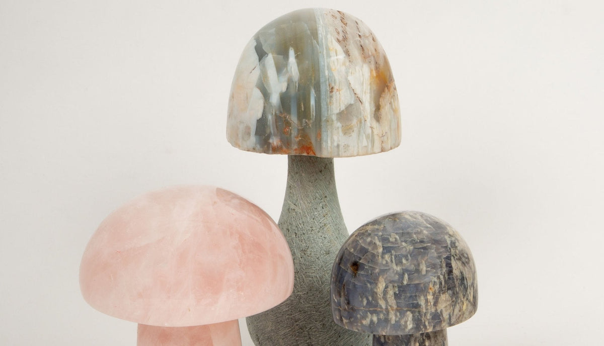 Mineral Mushroom Trio
