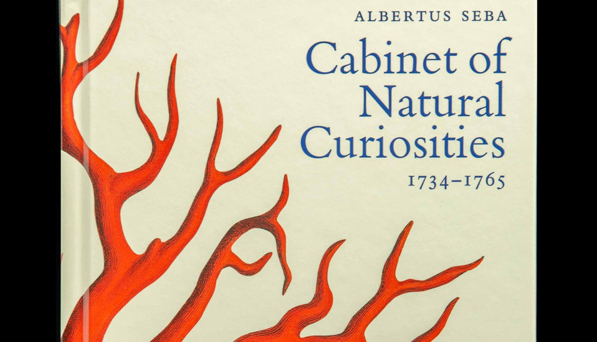 Seba. Cabinet of Natural Curiosities. 40th Ed.