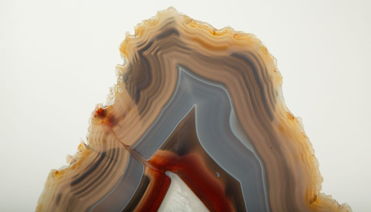 Earth’s Eye: Mounted Agate Slice