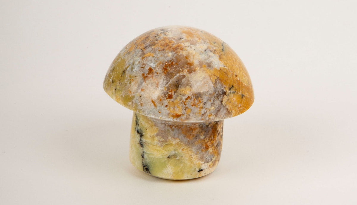 Yellow Jasper Mushroom