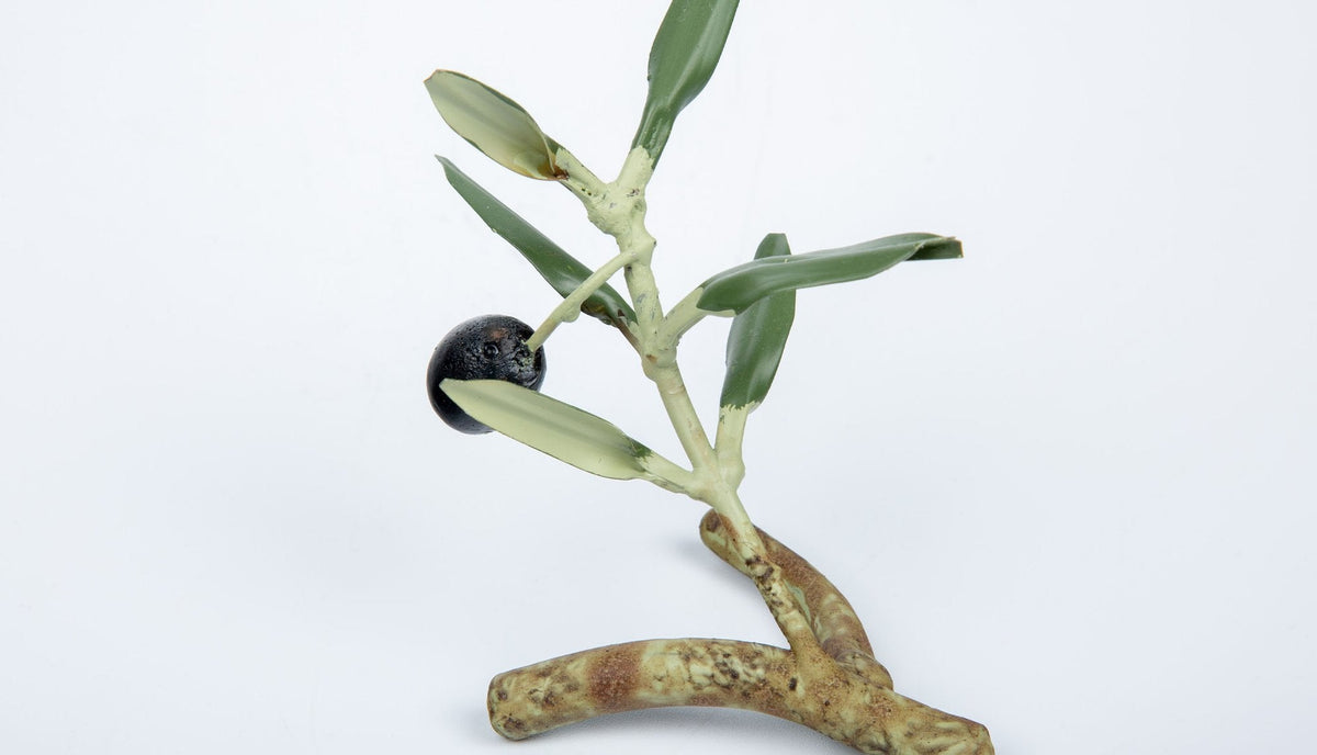 Olive Branch Place Card Holder