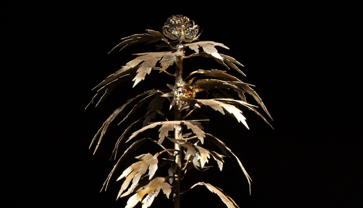 Luxury Leaf: The Silver Haze-Inspired Park Avenue Pot Plant