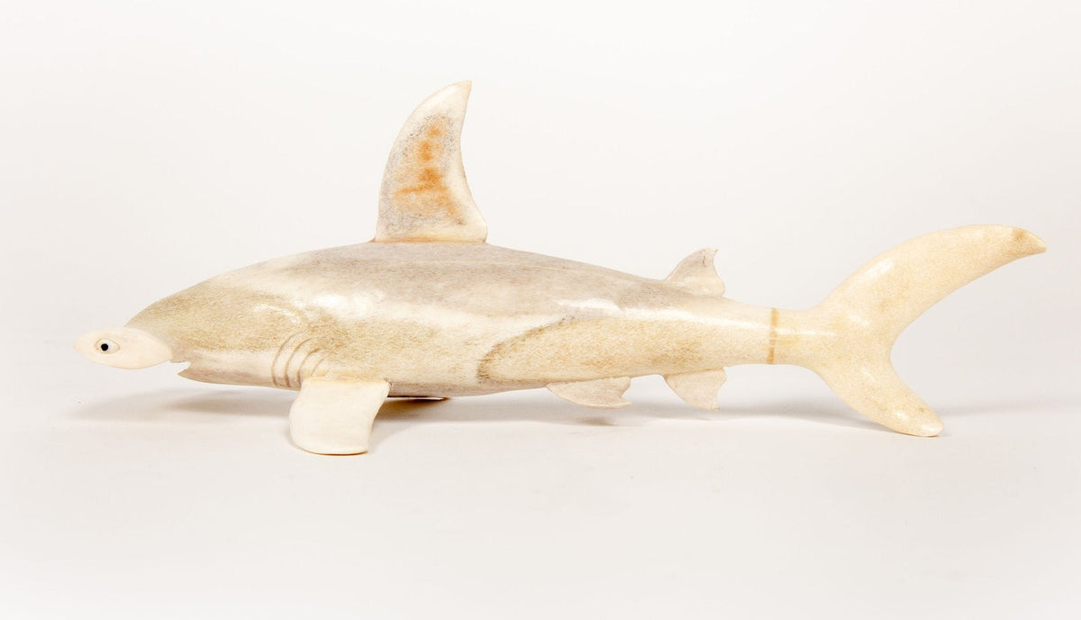 Hammerhead Shark Moose Antler Carving