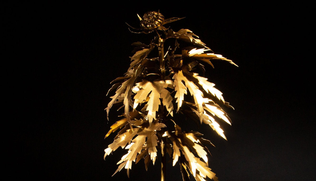Luxury Leaf: The Acapulco Gold-Inspired Park Avenue Pot Plant