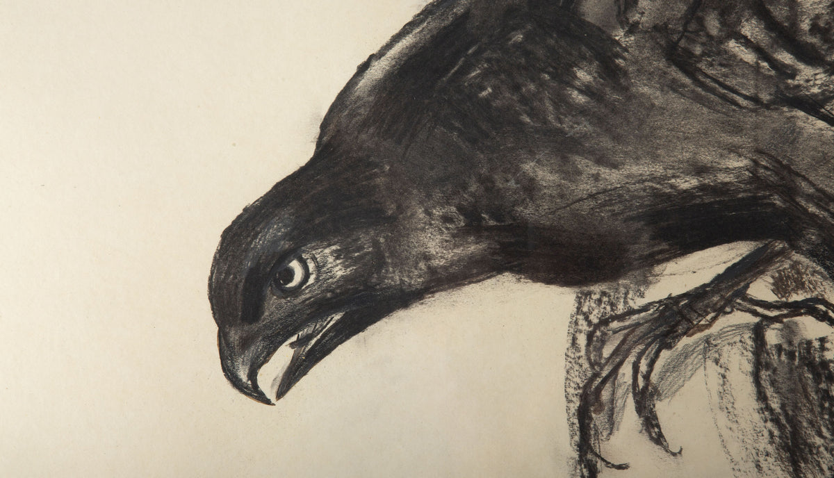 Raven in Motion: A 20th C. Charcoal Study Signed R. Bigot