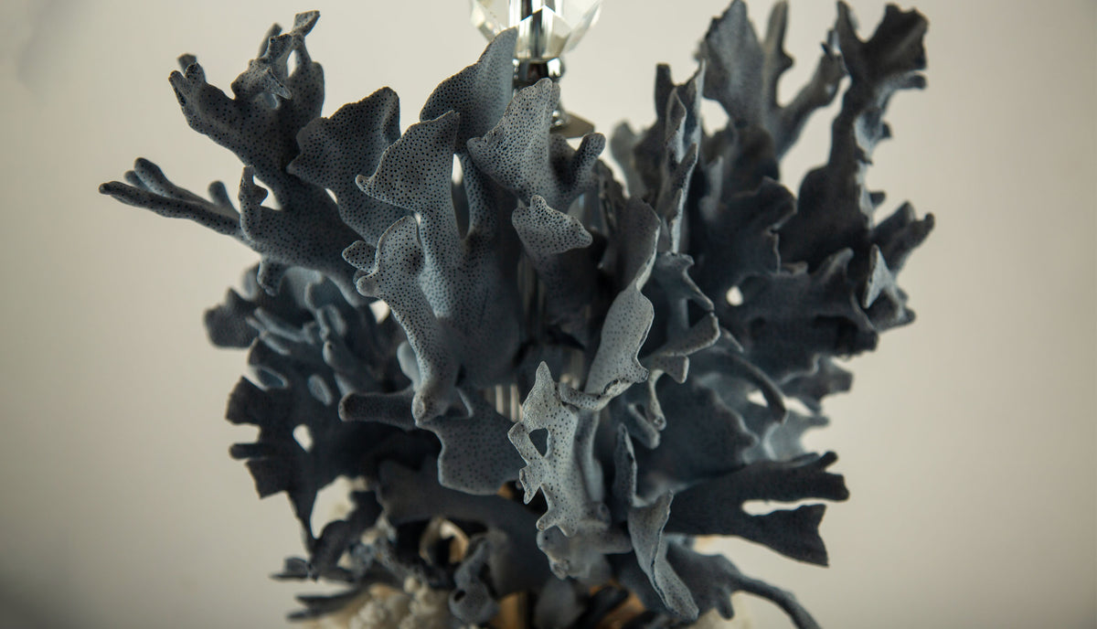 Natural Coral Reef Table Lamp with Blue Gorgonian and White Reef Corals