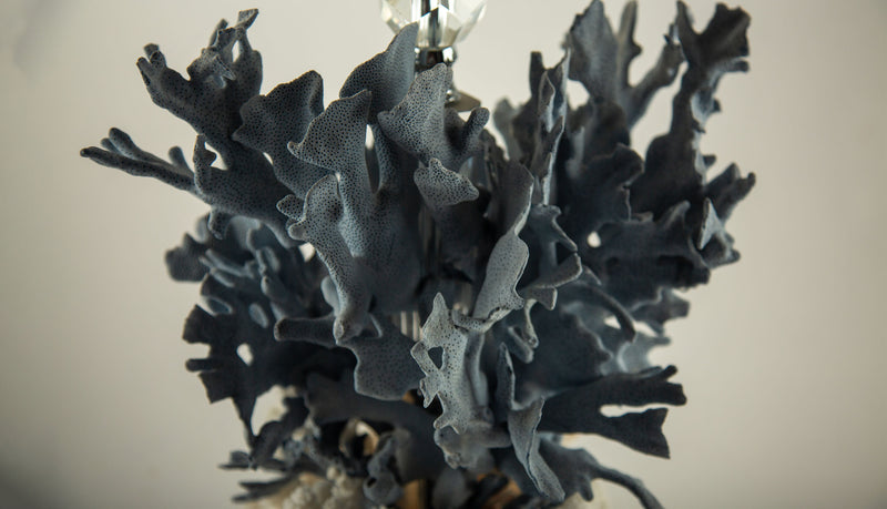 Natural Coral Reef Table Lamp with Blue Gorgonian and White Reef Corals