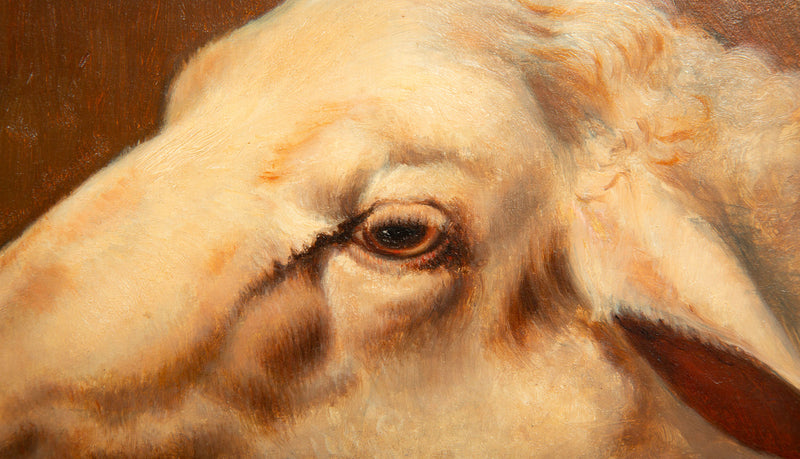 A Gentle Gaze: 19th C French Painting of a Sheeps Head Signed 1868