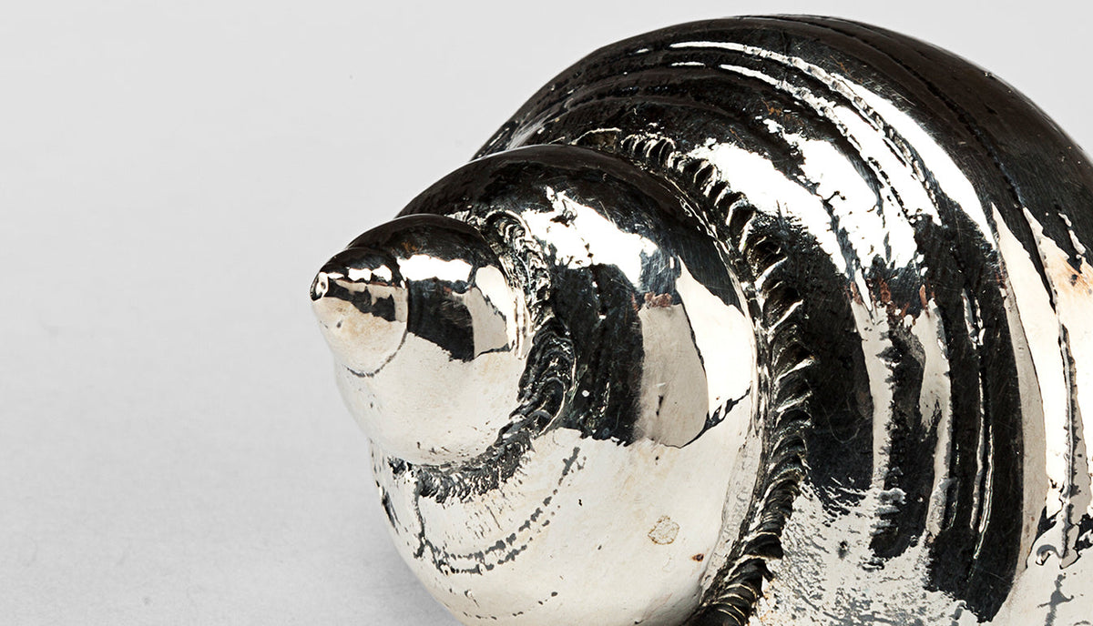 Silvered Burgus Lineate Shell