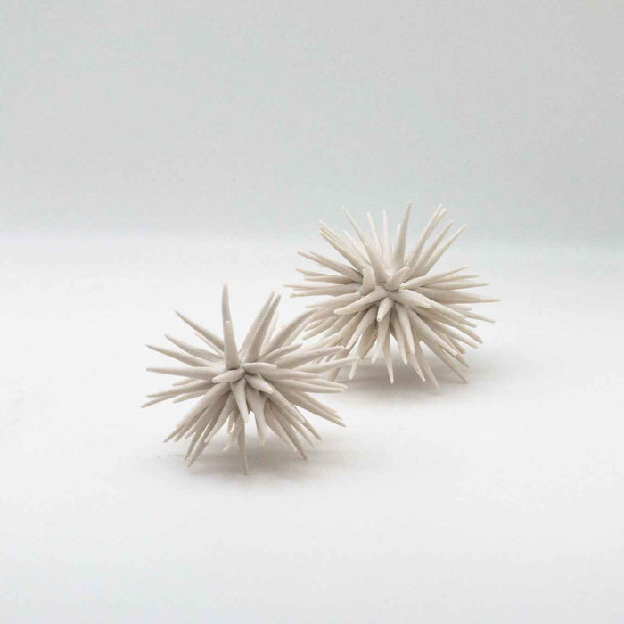 Claire Palastanga Urchin 3½" - 4½"