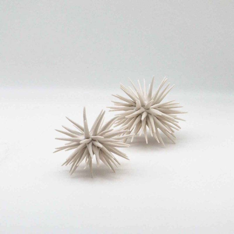 Claire Palastanga Urchin 3½" - 4½"