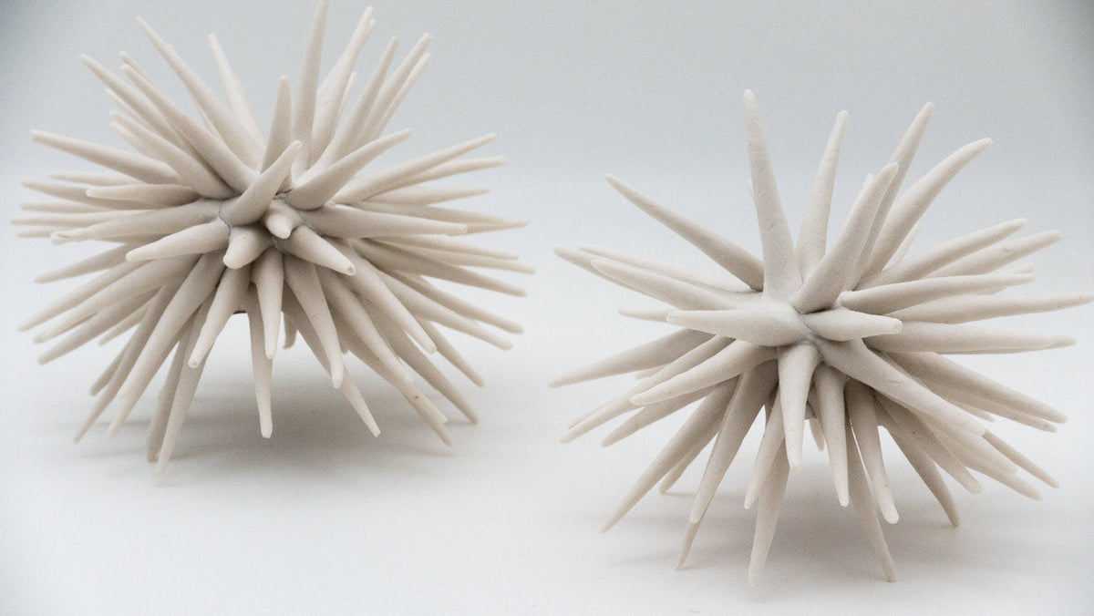 Claire Palastanga Urchin 3½" - 4½"