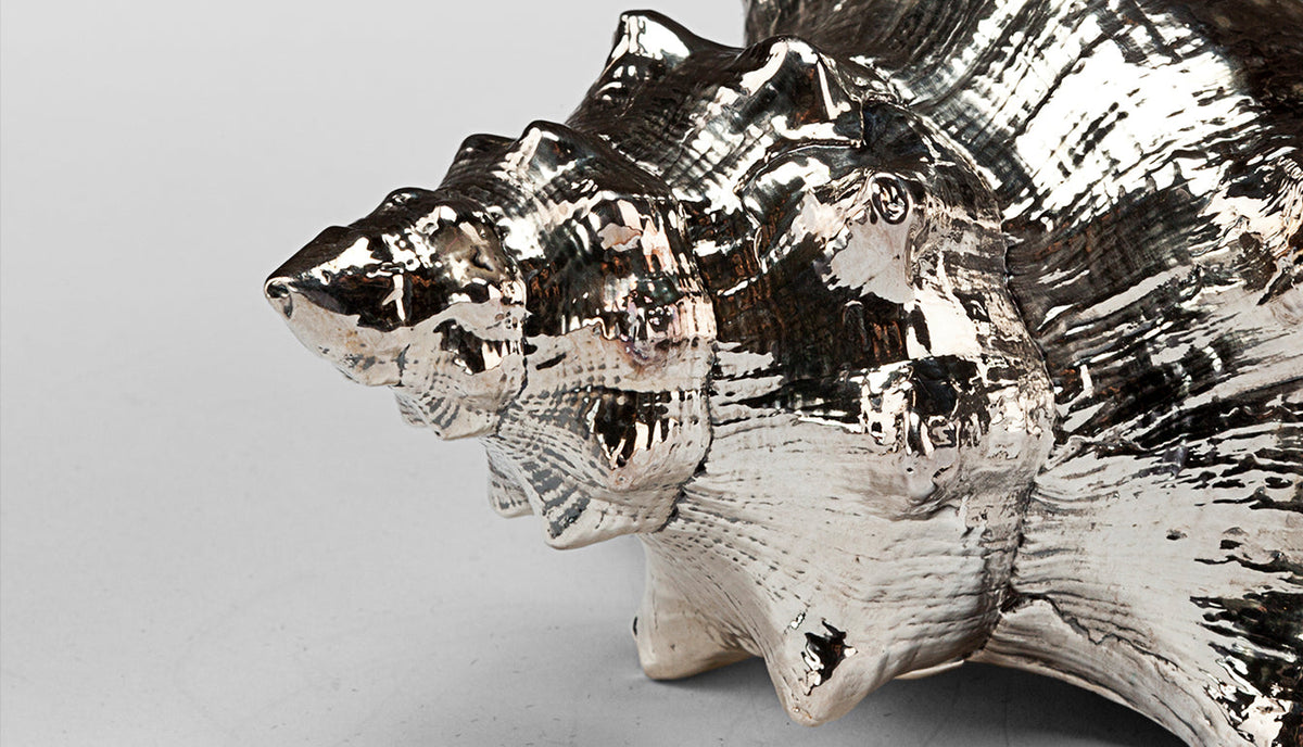 Silvered Fasciolaria Shell