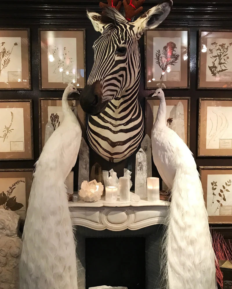 gallery-image-4