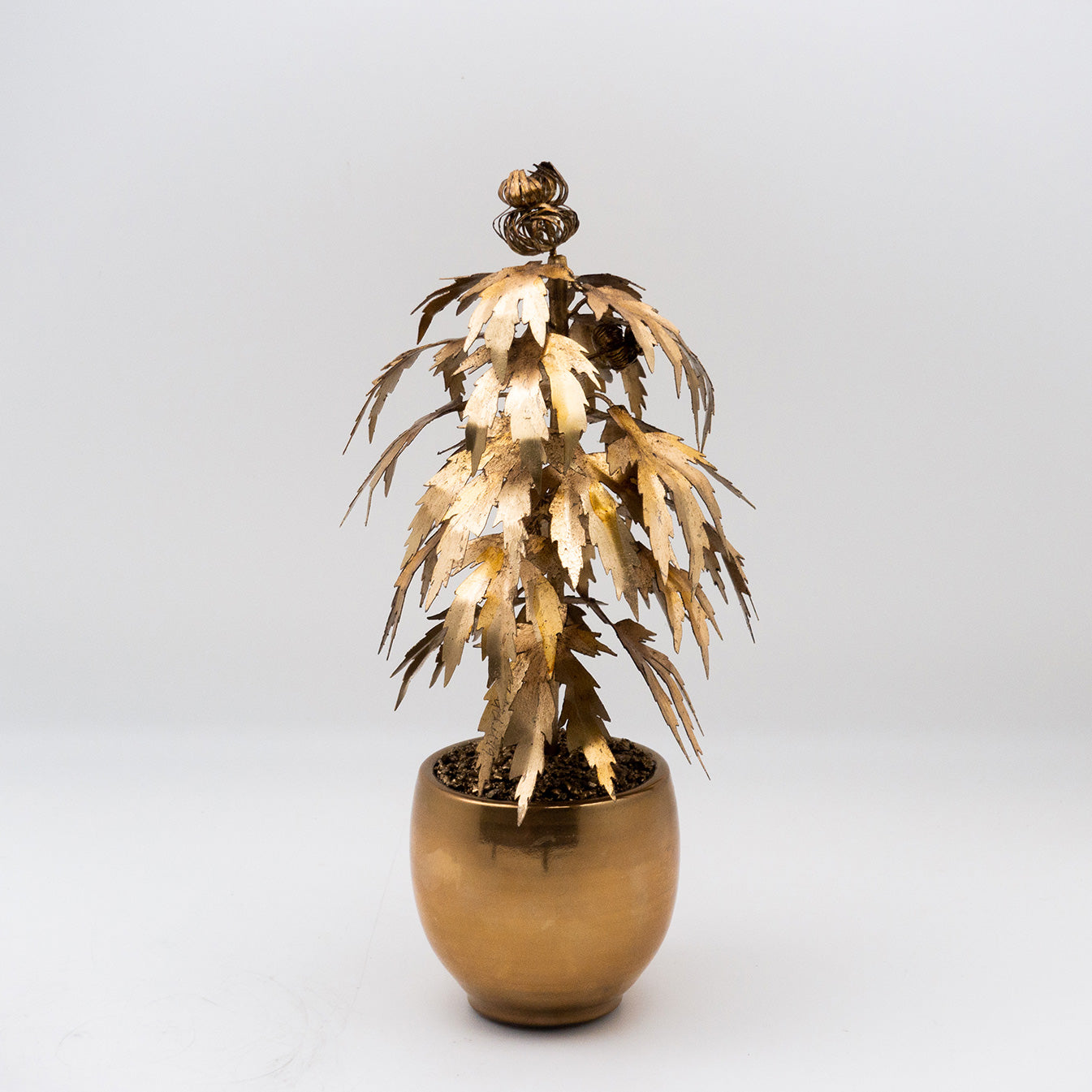 Luxury Leaf: The Acapulco Gold-Inspired Park Avenue Pot Plant