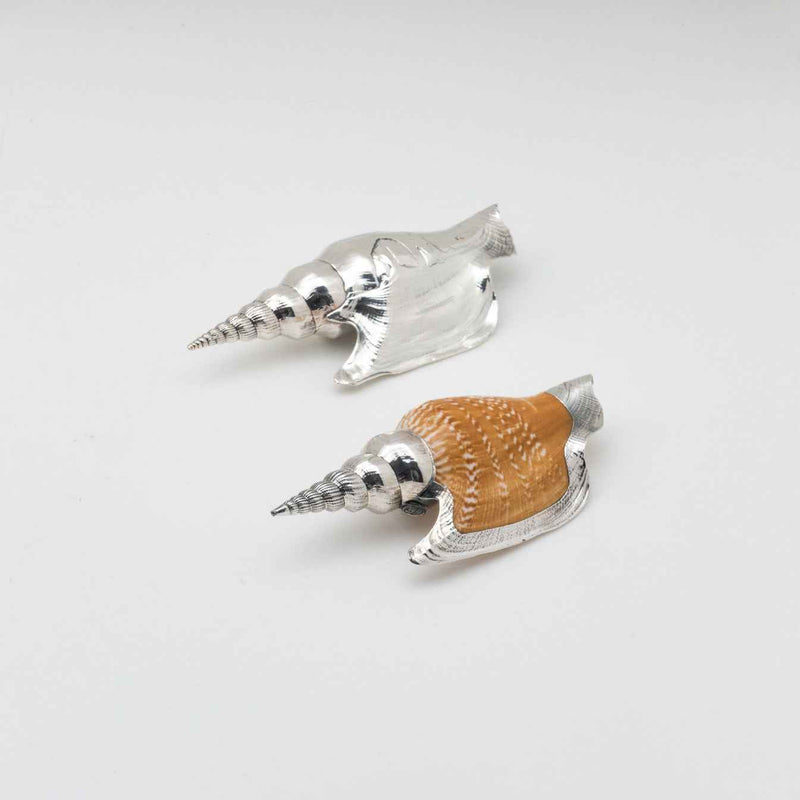 Silvered Lister's Conch