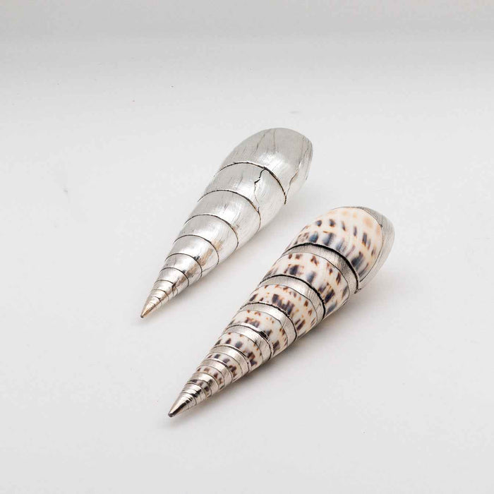 Silvered Marlinspike Shell