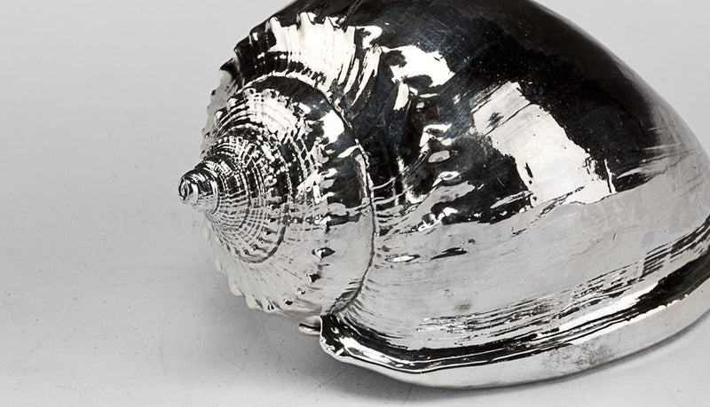 Silver Acorn