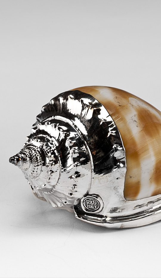 Silver Acorn
