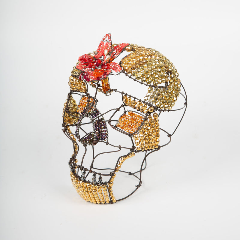 Skull by Marie Christophe
