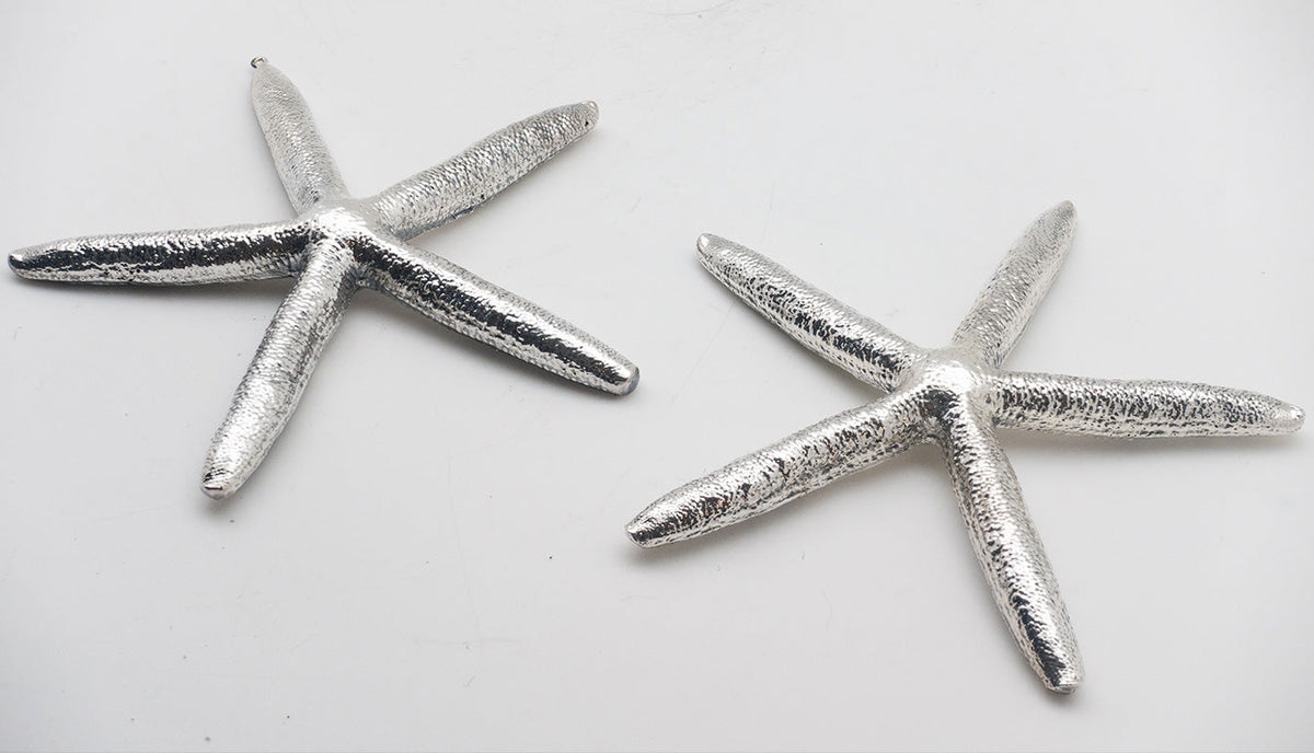 Silver Starfish Edmund