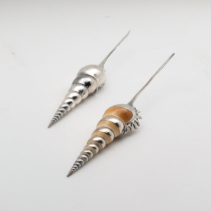 Silvered Tibia Fusus Shell