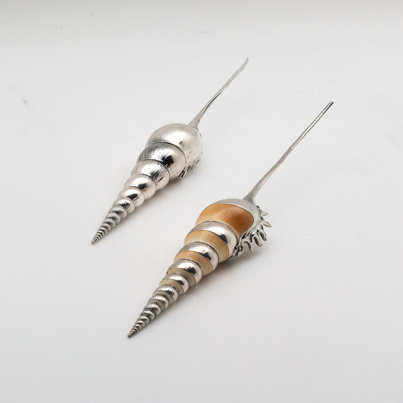 Silvered Tibia Fusus Shell