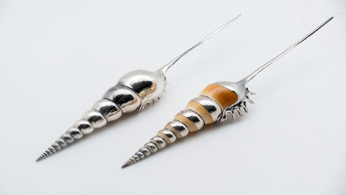 Silvered Tibia Fusus Shell