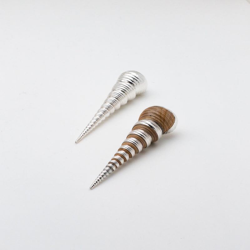Silver Turritella Shell
